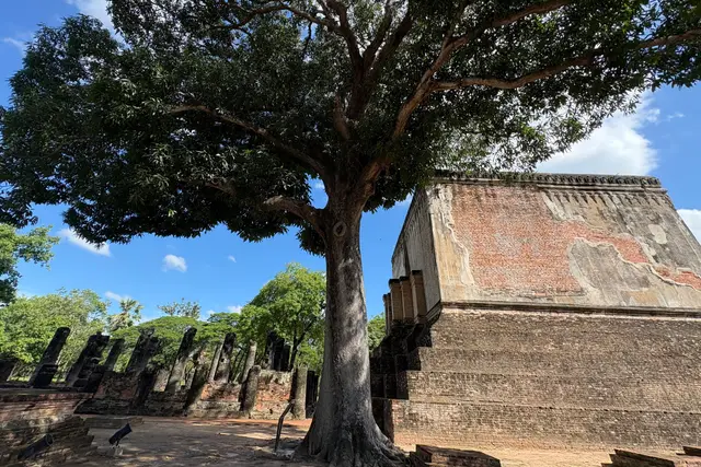 Wat Si Chum: Sukhothai Travel Guide (4.8★) — Sukhothai