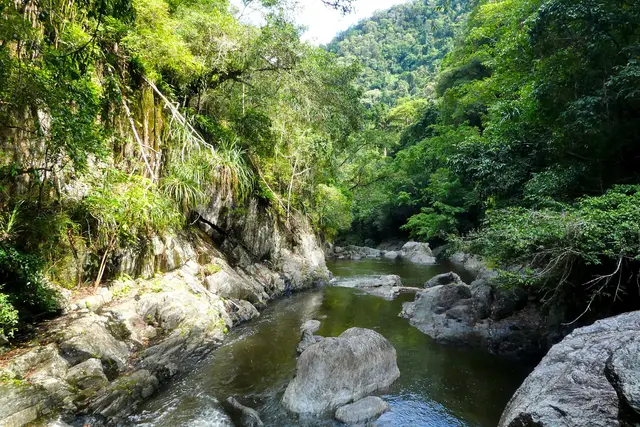 Crystal Cascades: Cairns Travel Guide (4.7★) — Cairns