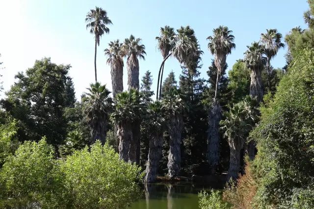 Los Angeles County Arboretum & Botanic Garden