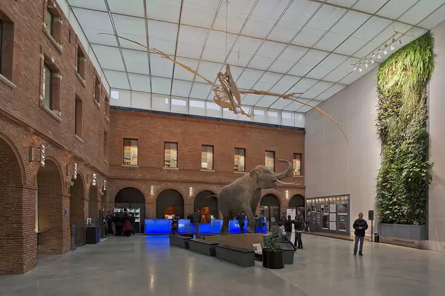 Muséum de Toulouse: Travel Guide (4.5★) — Toulouse