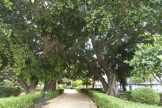 Giardino Garibaldi: Palermo Travel Guide (4.5★) — Palermo