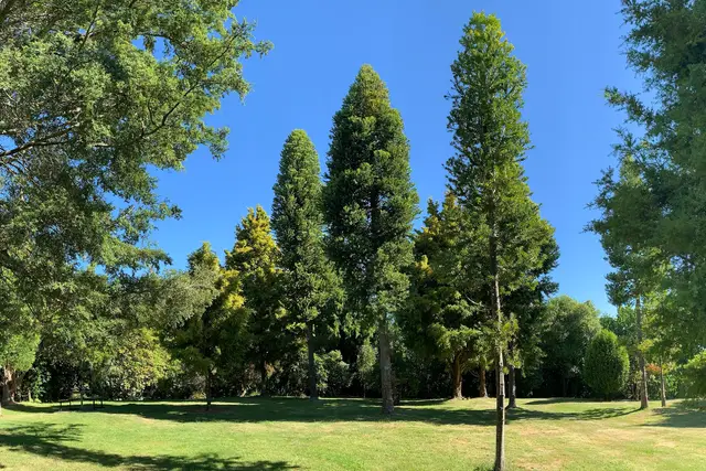 Waipahihi Botanical Reserve: Taupo Travel Guide (4.6★) — Taupo