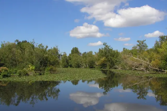 Washington Park Arboretum: Seattle Travel Guide (4.8★) — Seattle