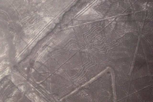 Nazca Spider: Travel Guide — Nazca