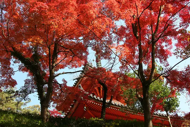 Mitaki Temple — Hiroshima