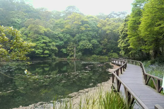 Fushan Botanical Garden: Yilan Travel Guide (4.7★) — Yilan