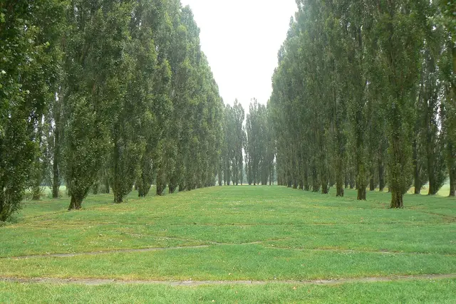 Green Cathedral: Kampot Travel Guide (4.2★) — Kampot