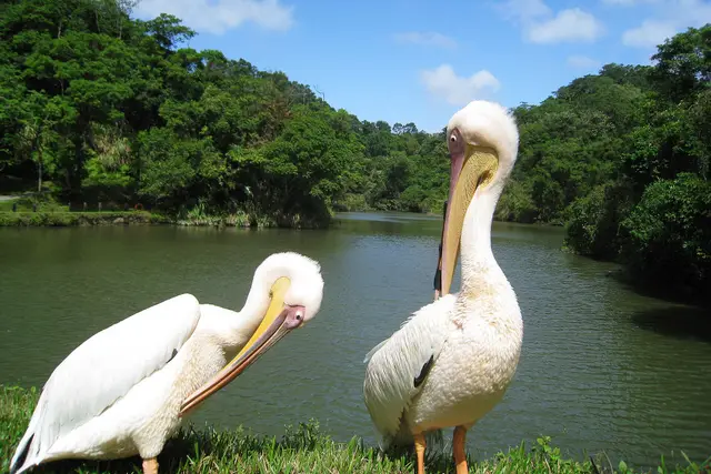 Green World Ecological Farm: Hsinchu Travel Guide (4.6★) — Hsinchu