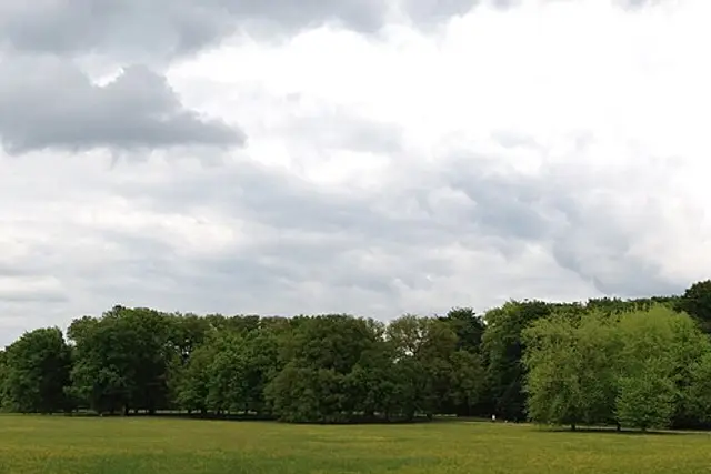 Bürgerpark: Bremen Travel Guide (4.8★) — Bremen