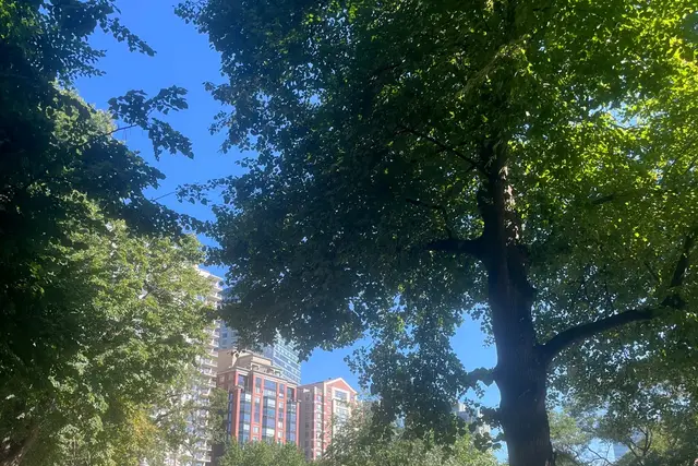 Boston Common: Travel Guide — Boston