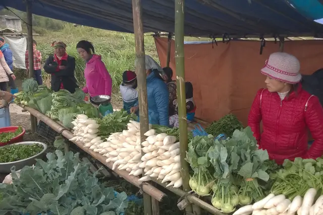 Hà Giang Market: Ha Giang Travel Guide (4.1★) — Ha Giang