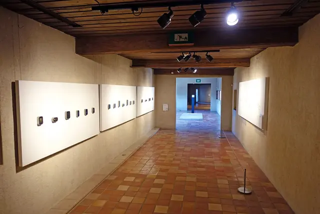 Musée-Château d'Annecy: Travel Guide (4.1★) — Annecy