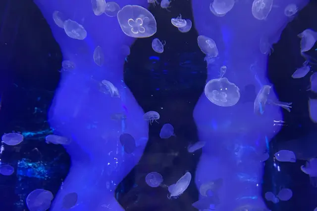 SEA LIFE Bangkok Ocean World: Travel Guide — Bangkok