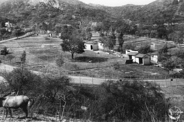 Old Los Angeles Zoo: Travel Guide (4.6★) — Los Angeles