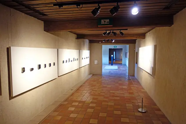 Musée-Château d'Annecy: Travel Guide (4.1★) — Annecy