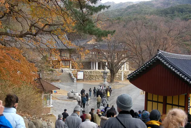 Donghwasa: Daegu Travel Guide (4.4★) — Daegu