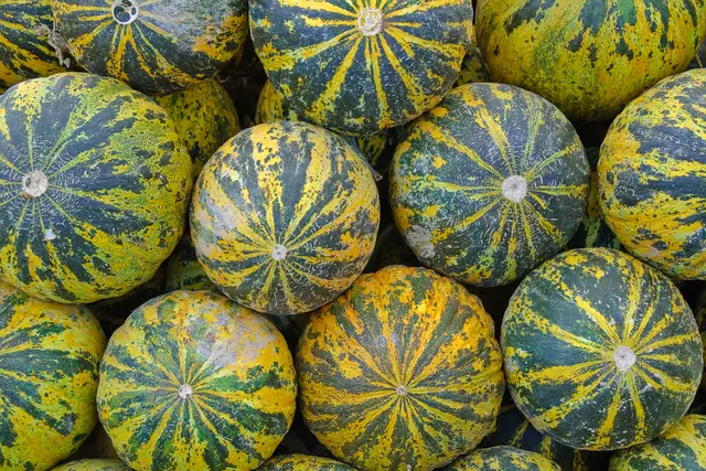 Fethiye Market: Travel Guide — Fethiye