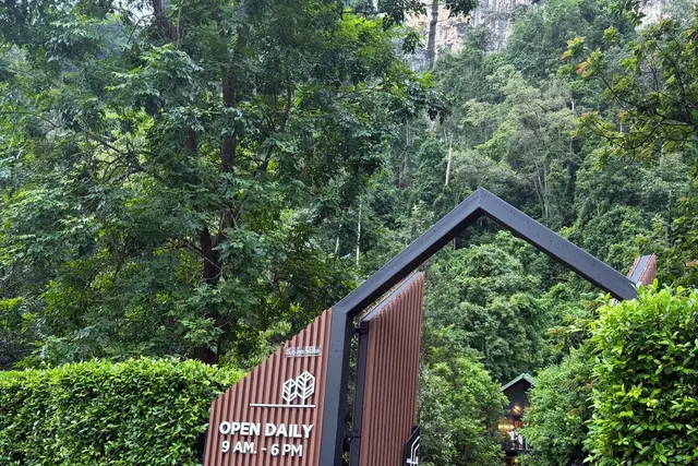 Into the forest — Krabi