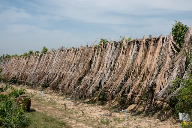La Plantation: Kampot Travel Guide (4.7★) — Kampot