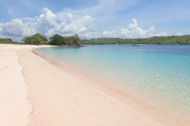 Pink Beach: Komodo Travel Guide (4.9★) — Komodo